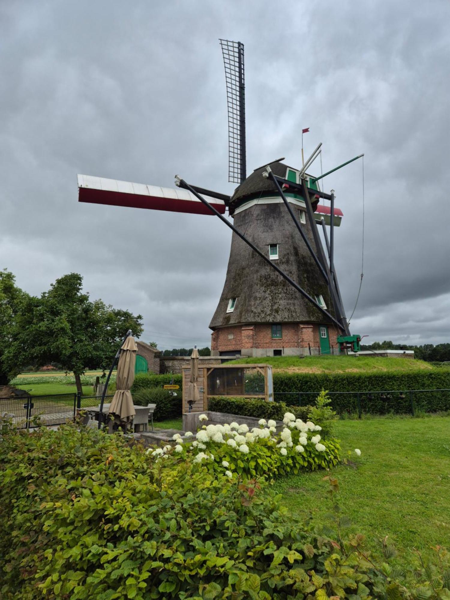 Bij Molen De Blazekop, Rustig En Landelijk Ovezande Exterior photo